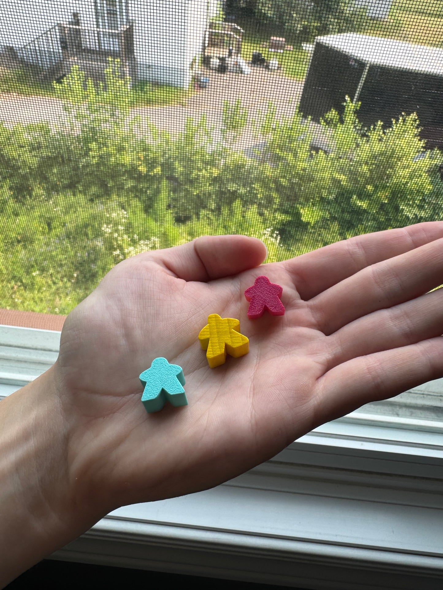 Meeples For Carcassonne Board Game